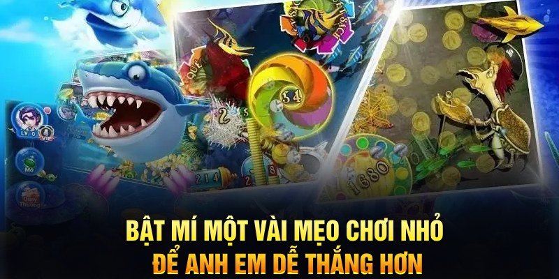 Hướng Dẫn Tân Binh Cách Chơi Bắn Cá H5 Tại Nhà Cái New88 7 Bật mí một vài mẹo chơi nhỏ để anh em dễ thắng hơn