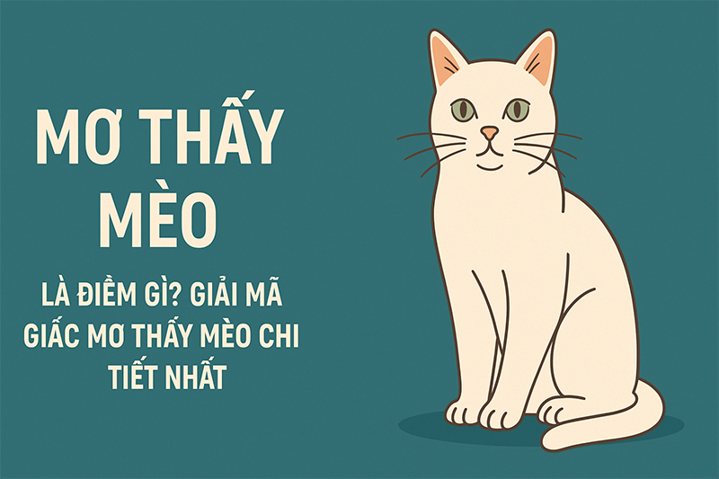 Mơ Thấy Mèo Là Điềm Gì? Giải Mã Giấc Mơ Thấy Mèo Chi Tiết Nhất 5 Giải mã giấc mơ thấy mèo chi tiết nhất