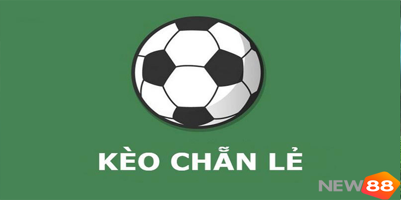 Cách đặt kèo chẵn lẻ: Bí quyết soi kèo hiệu quả cho người mới New88 4 Cách đặt kèo chẵn lẻ: Bí quyết soi kèo hiệu quả cho người mới New88