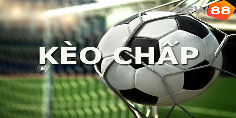 Kèo Chấp 1 Hoà Là Gì? New88 Hướng Dẫn Chi Tiết & Mẹo Chốt Kèo Chuẩn 7 So sánh kèo chấp hòa và kèo chấp đứt