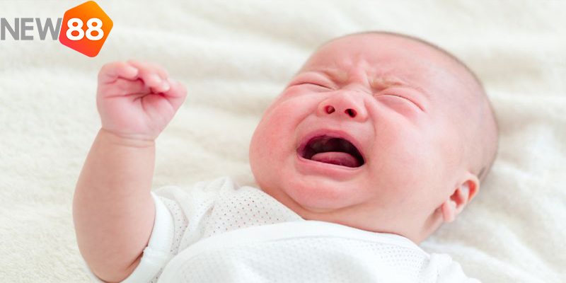 Mơ Thấy Trẻ Con Đánh Con Gì? New88 Giải Mã Giấc Mơ Và Con Số May Mắn 4 Mơ Thấy Trẻ Con Đánh Con Gì? New88 Giải Mã Giấc Mơ Và Con Số May Mắn